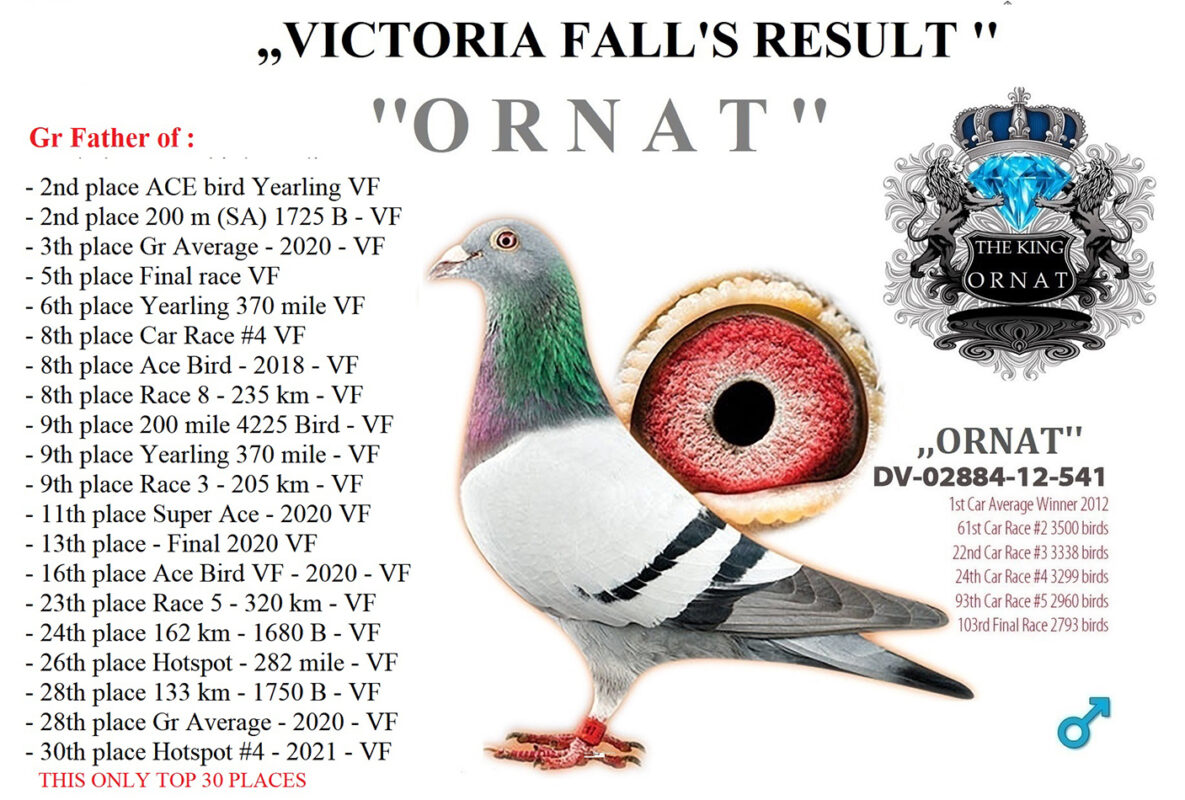 Ornat_VF_Result
